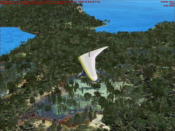 49726 B / 600 x 450 / fsx 2006-08-14 14-07-02-12.jpg