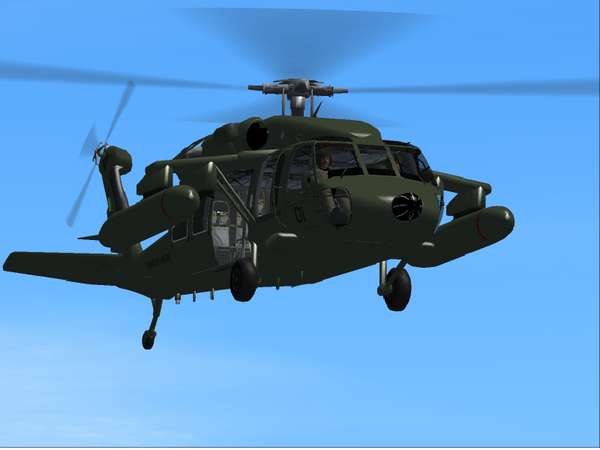 14953 B / 600 x 450 / black hawk.bmp