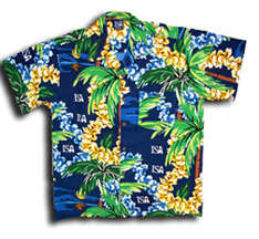 15862 B / 234 x 216 / hawaii_shirt.jpg