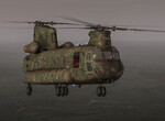 Chinook