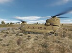 Chinook